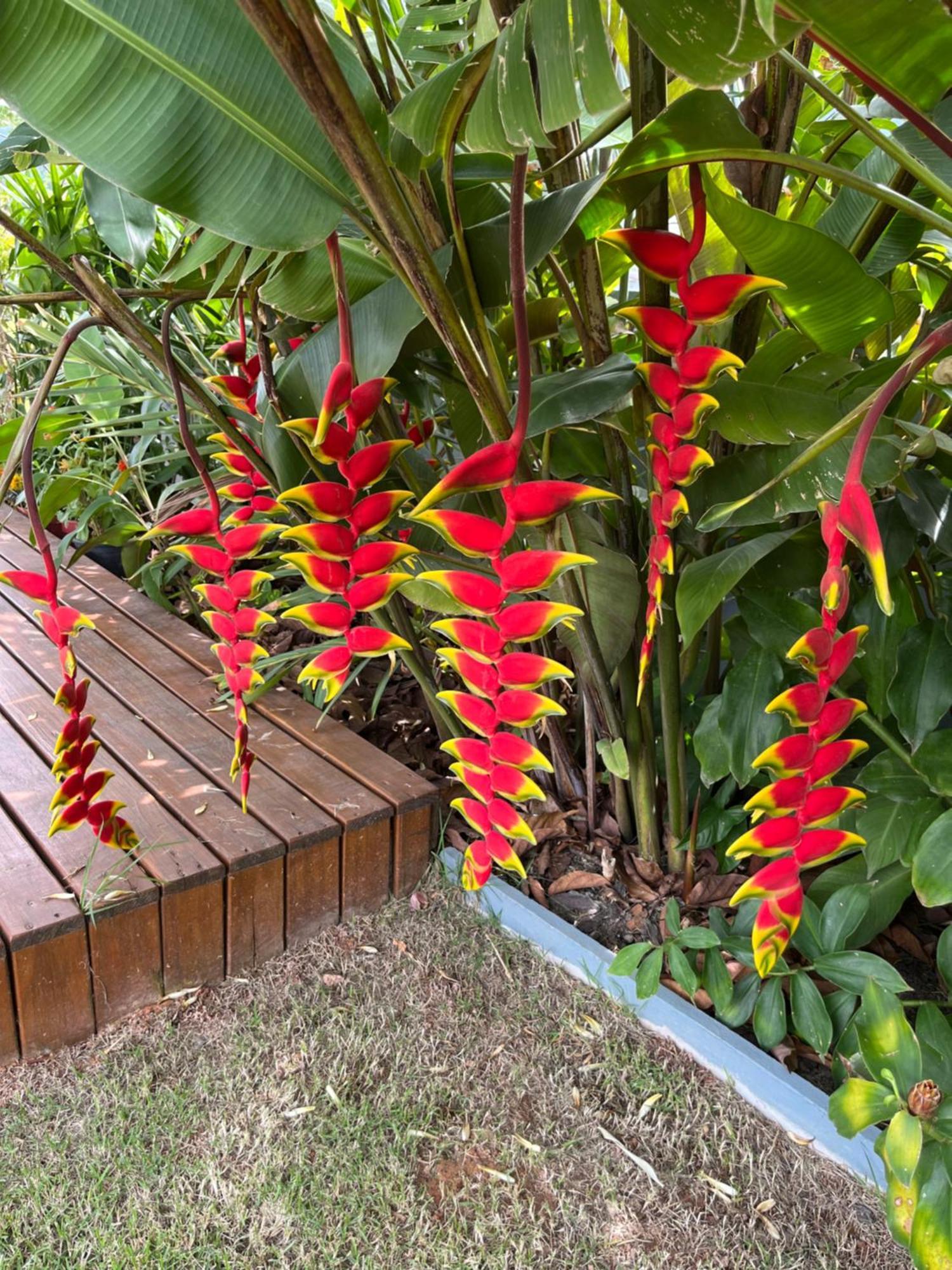 Bella Pousada Pomerode Bagian luar foto